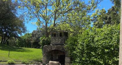 Mas du 11Ăšme siĂšcle situĂ© sur site archĂ©ologique entourĂ© dâoliviers