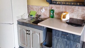 Una cocina compacta con un refrigerador blanco, un lavamanos con escurreplatos y un cubo de basura.