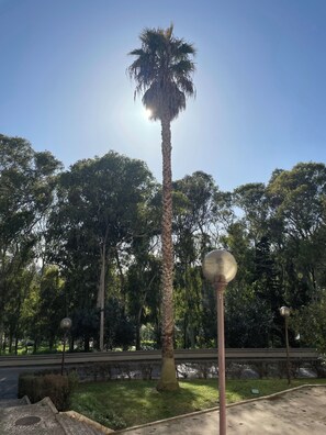 Overnattingsstedets uteområder