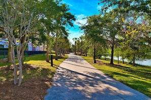 A paved pathway flanked by trees and a body of water, leading towards a building with a curved roof.