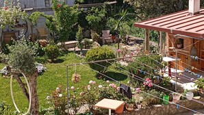 A garden with potted plants, a table, and a chair. - Casa Talika (Ourem)
