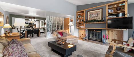 TV, fireplace, books