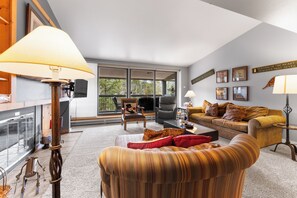 Televisión, chimenea, libros