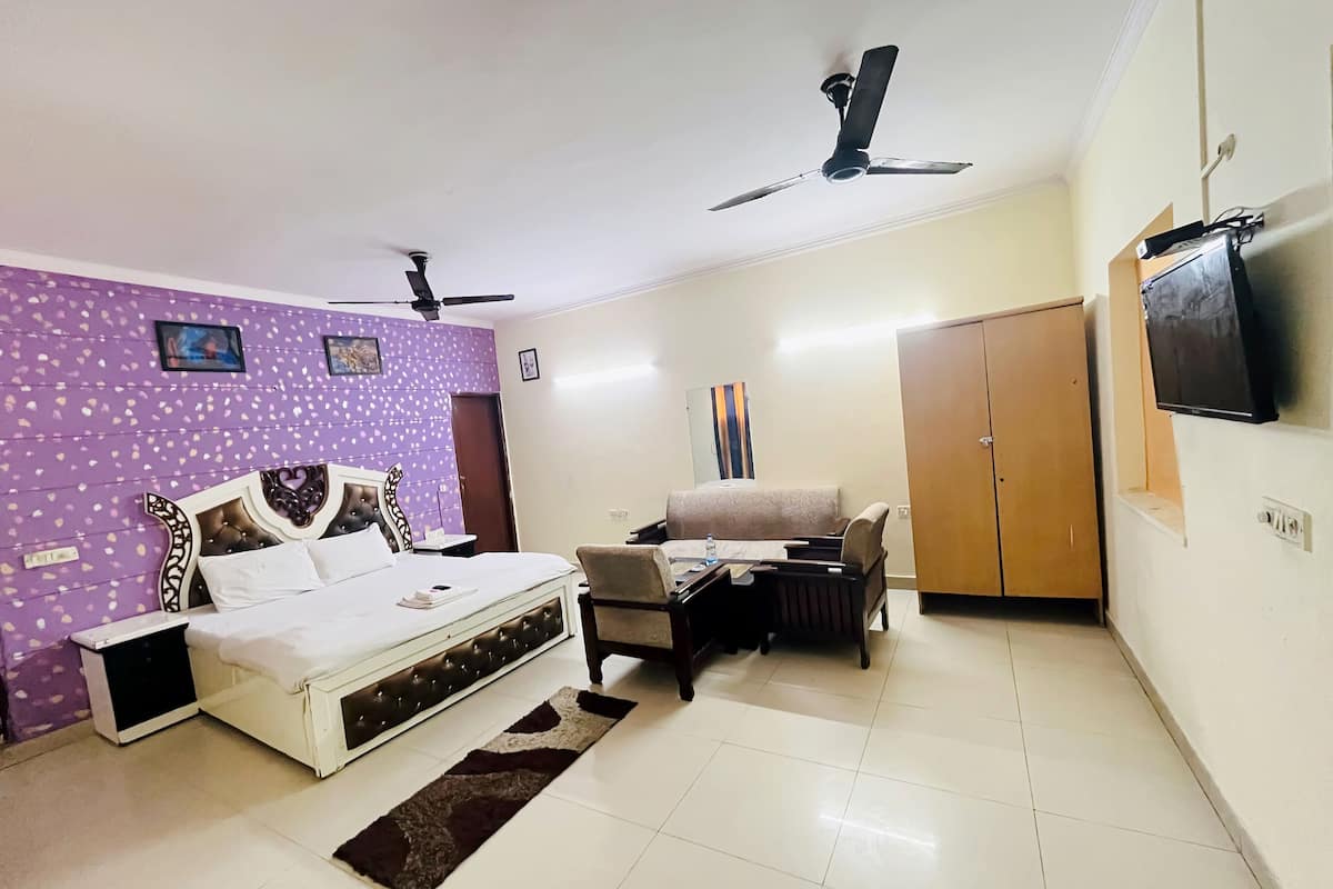 Une chambre à coucher comprenant un lit, un canapé, une télévision, une armoire et un ventilateur de plafond.