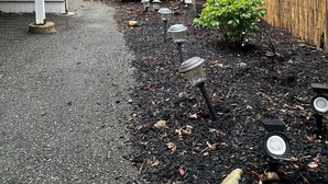 Un jardín con cerca de madera, un árbol pequeño y un camino pavimentado.