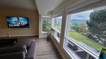 TV connectée, cheminée