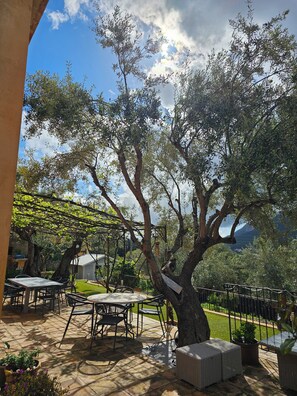 Opções para refeição ao ar livre