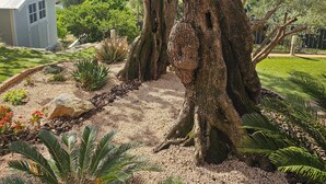 Un árbol grande con un jardín bien cuidado, un edificio pequeño y una vista distante de un pueblo.