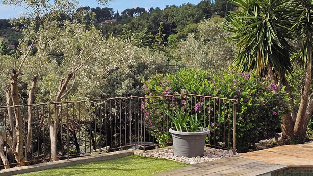 Una piscina con borde de baldosas, rodeada por un jardín con plantas y árboles.