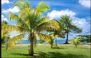 Praia