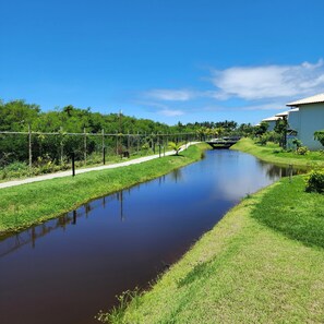 Stroll along the serene riverbank, where a peaceful pathway leads to a picturesque bridge surrounded by lush greenery.