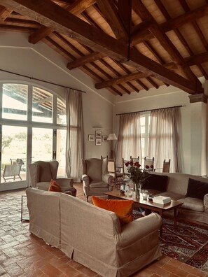 TV connectée, cheminée, lecteur de DVD, livres