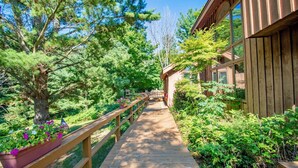 Un sentier en bois mène à un bâtiment doté de grandes fenêtres, entouré d’une végétation luxuriante et d’arbres.