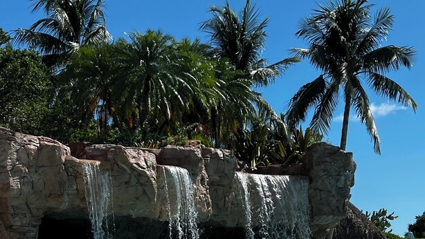 A clear pool with a waterfall feature, surrounded by palm trees and a rocky backdrop.