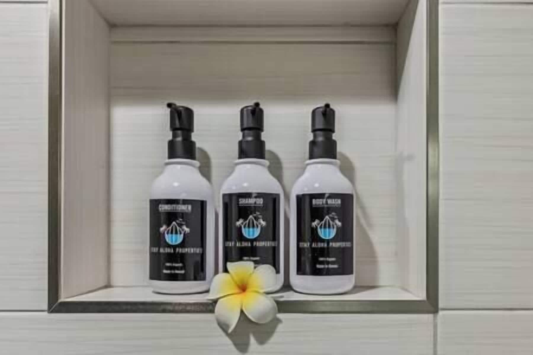 Hair dryer, towels, soap, shampoo