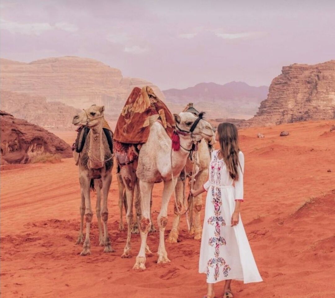 A desert landscape with three camels and a person in a white dress.