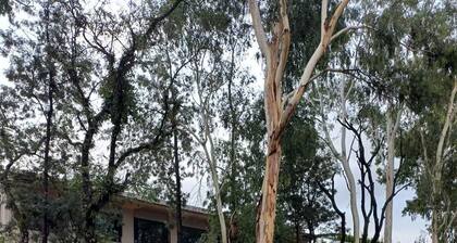 Entire flat available with 2 bedrooms, Kitchen, 2 washrooms, 2 balcony and hall.