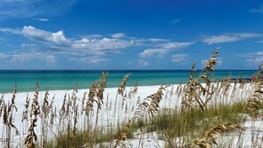 Une plage à l’eau turquoise et limpide, avec du sable blanc et de hautes herbes au premier plan.