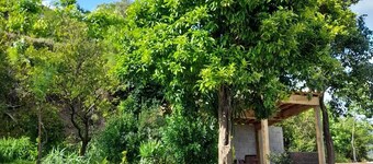The Shelter of Summer