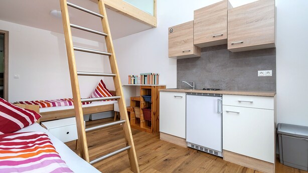 A compact studio apartment with a bunk bed, kitchenette, and a wooden ladder. - Alpen-hostel - Apartment Mittagsonne - Buxacher Straße 23 mit Motoradvermietung (Memmingen)
