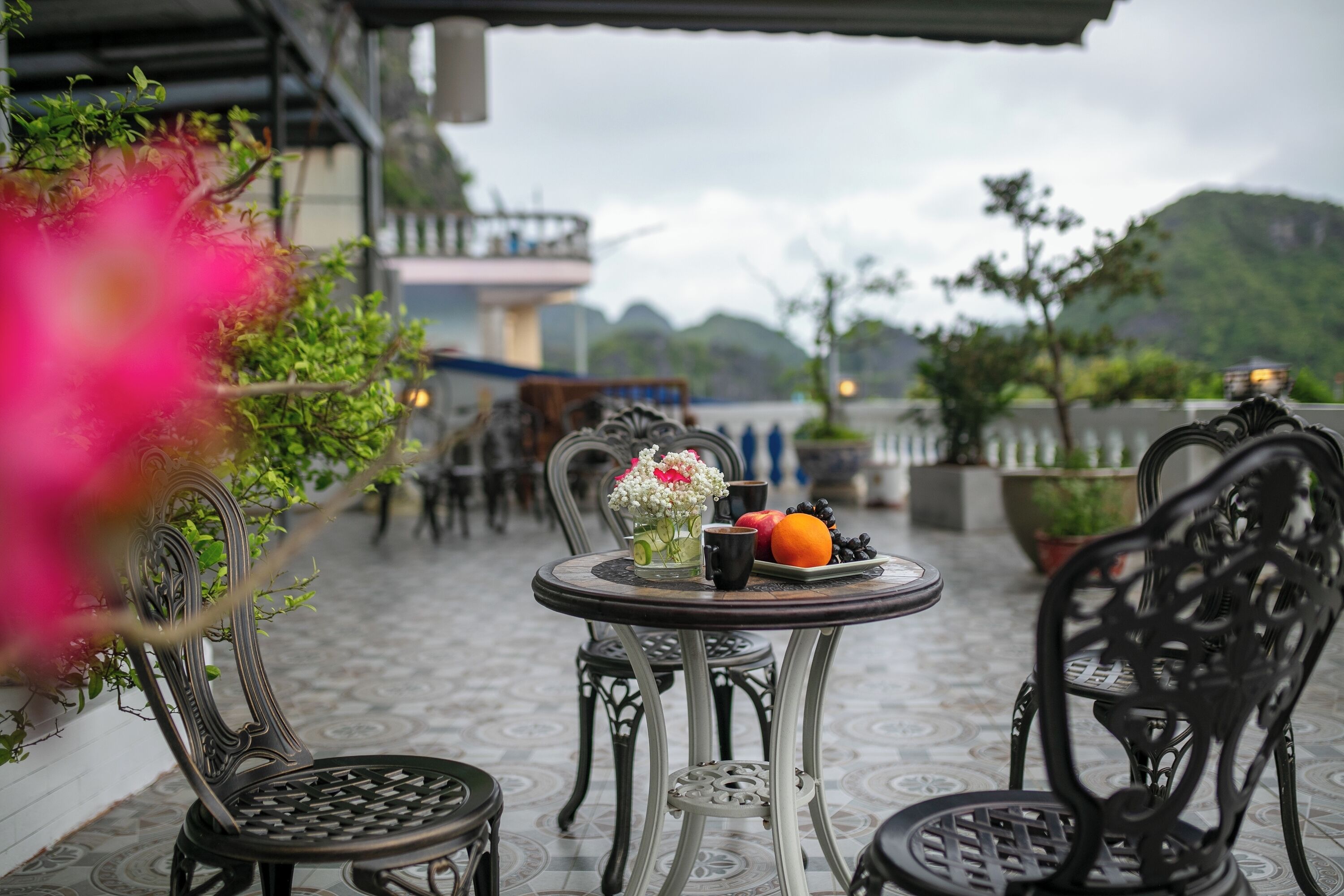 Un espace extérieur aménagé avec des chaises en métal et une table ronde, agrémenté d’un vase contenant des fleurs et des fruits.