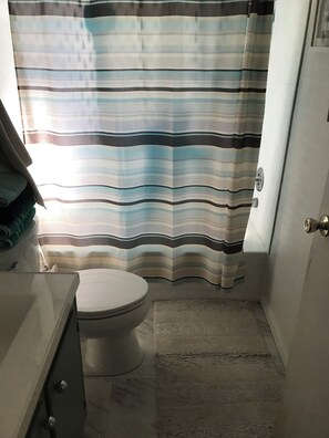 Hair dryer, towels, soap, toilet paper