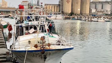 Huvivenesatama