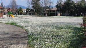 Um parque com parquinho, área gramada florida e árvores.