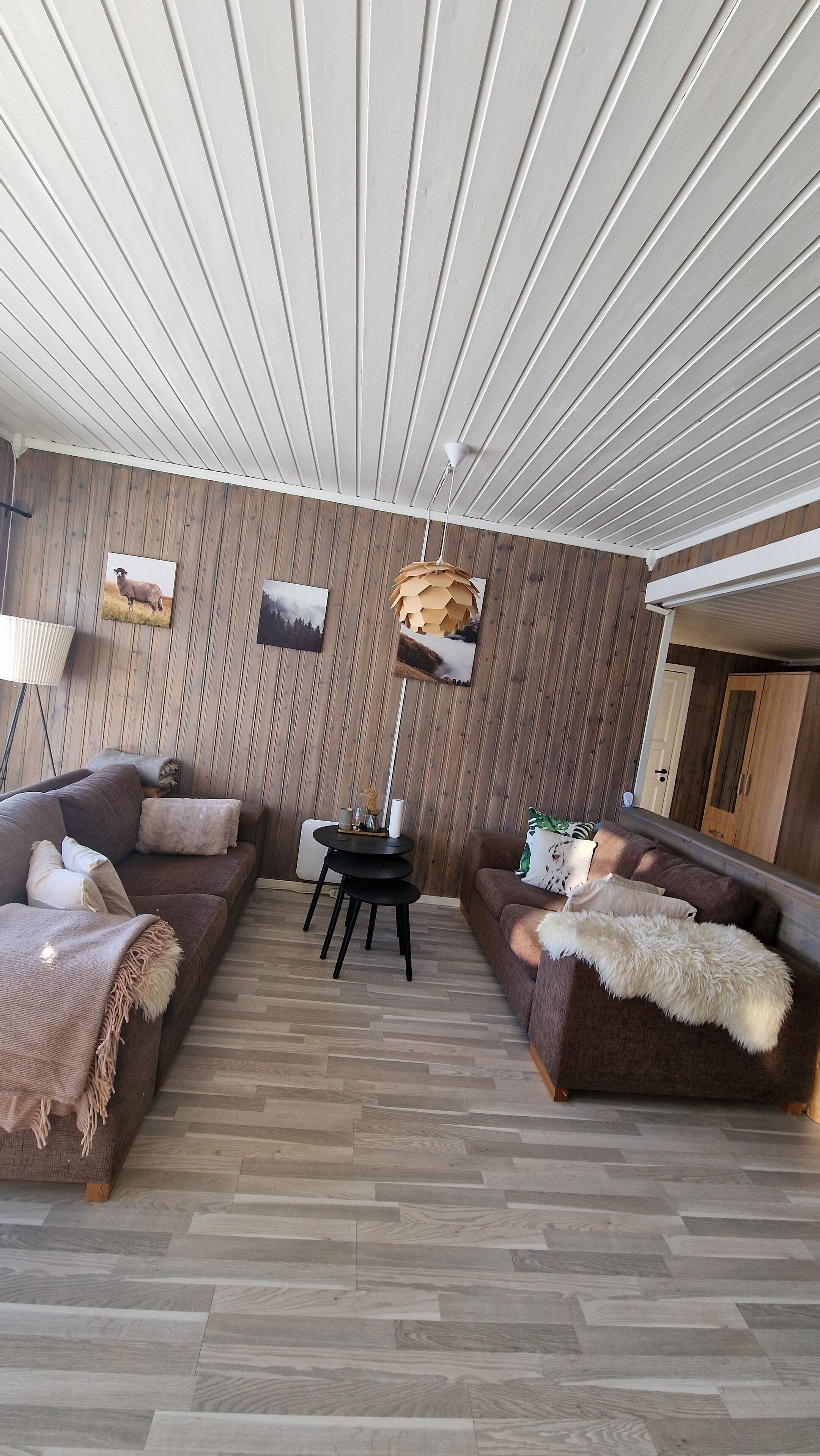 TV connectée, cheminée, livres