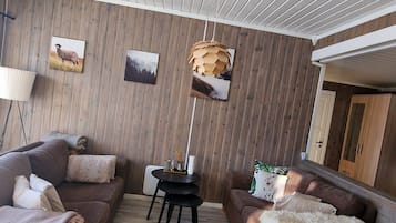 TV connectée, cheminée, livres