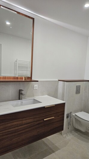 Shower, hair dryer, toilet paper