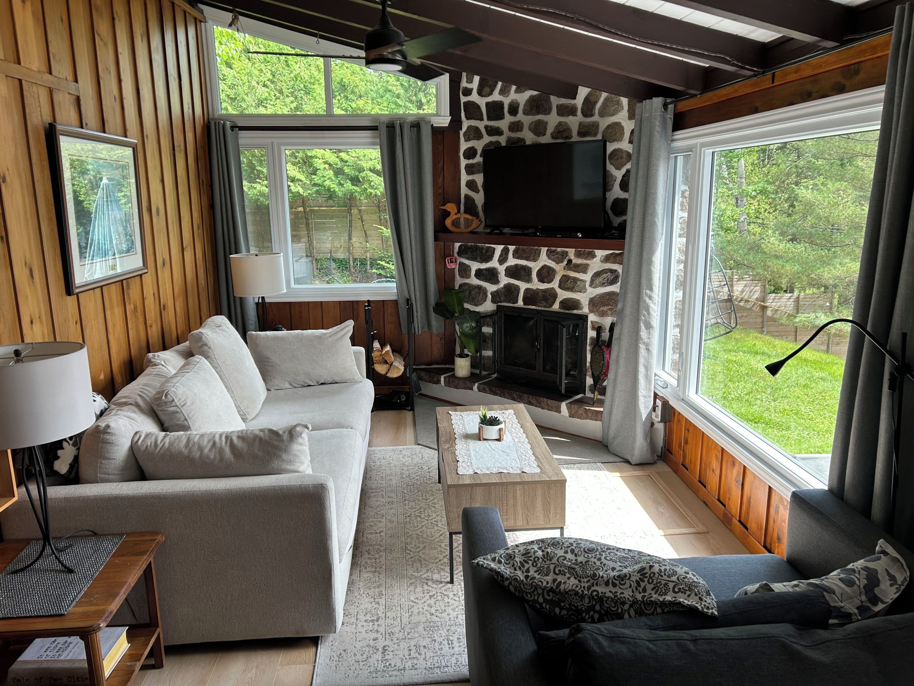 智能电视、壁炉、电子游戏、DVD 播放器