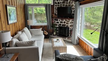 Smart TV, fireplace, video games, DVD player