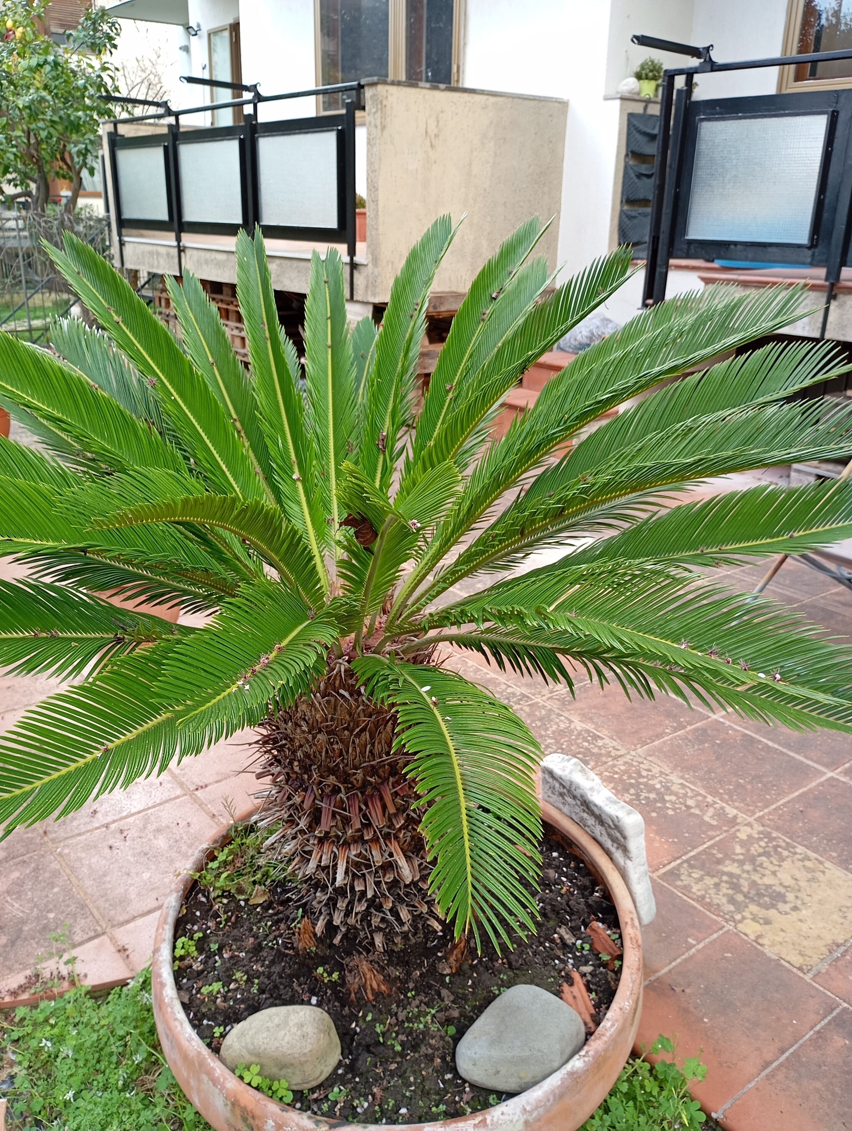 บริเวณภายนอก