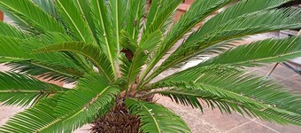 托托之家度假村