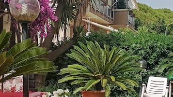 Terraza