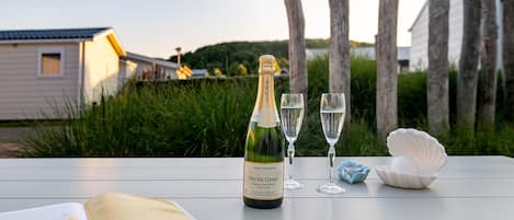 A bottle of Brut champagne, two glasses, and a book on a table with a wooden fence and greenery in the background.