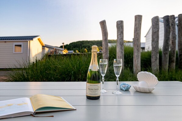 Een fles Brut champagne, twee glazen en een boek op een tafel, met een houten hek en groen in de achtergrond.