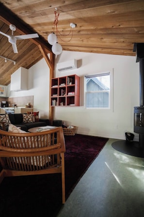 Smart TV, fireplace, books