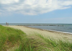 Plage à proximité, chaises longues, serviettes de plage