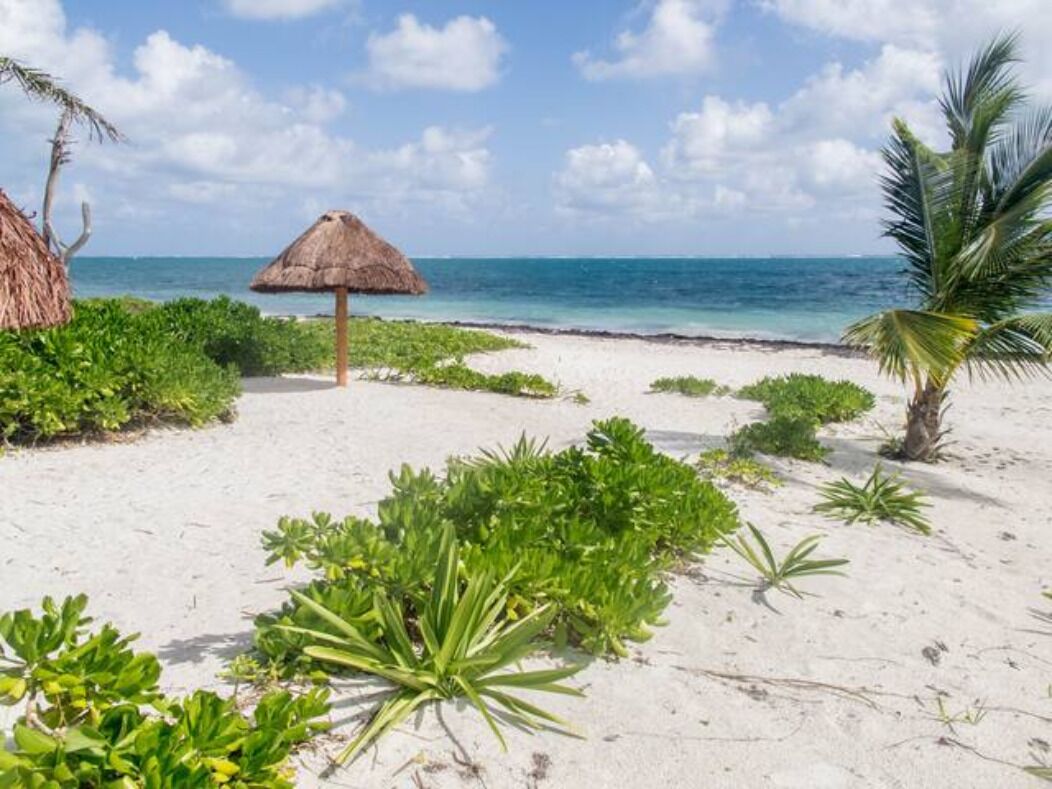 Accommodatie ligt op het strand, ligstoelen, strandlakens