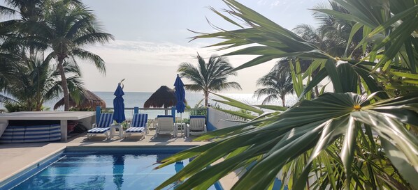 A pool area with lounge chairs and umbrellas, surrounded by palm trees and a view of the ocean.