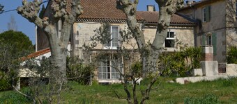 Jas du mas des Platanes