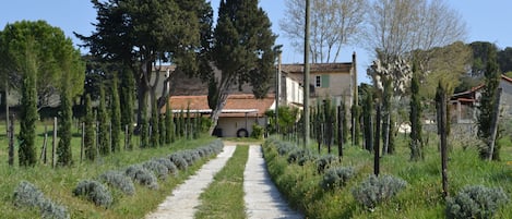 Terrain de lâhĂ©bergement