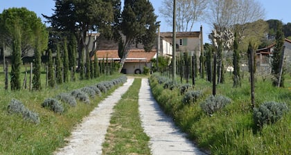 Jas du mas des Platanes