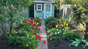 A garden pathway leading to a small shed with a window and door. - Historic Annapolis Home! (Annapolis)