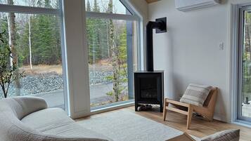 TV, fireplace, books