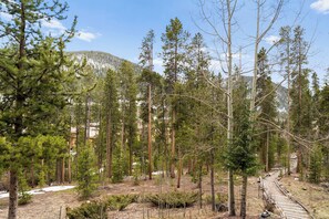 A forested area with a dirt path and a wooden bridge. - Sj2503-3 (Keystone)
