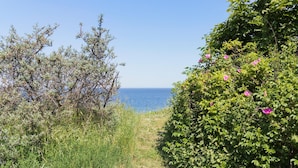 A coastal path with dense greenery and a view of the sea. - Lovely home in Hundested with WiFi (Hundested)