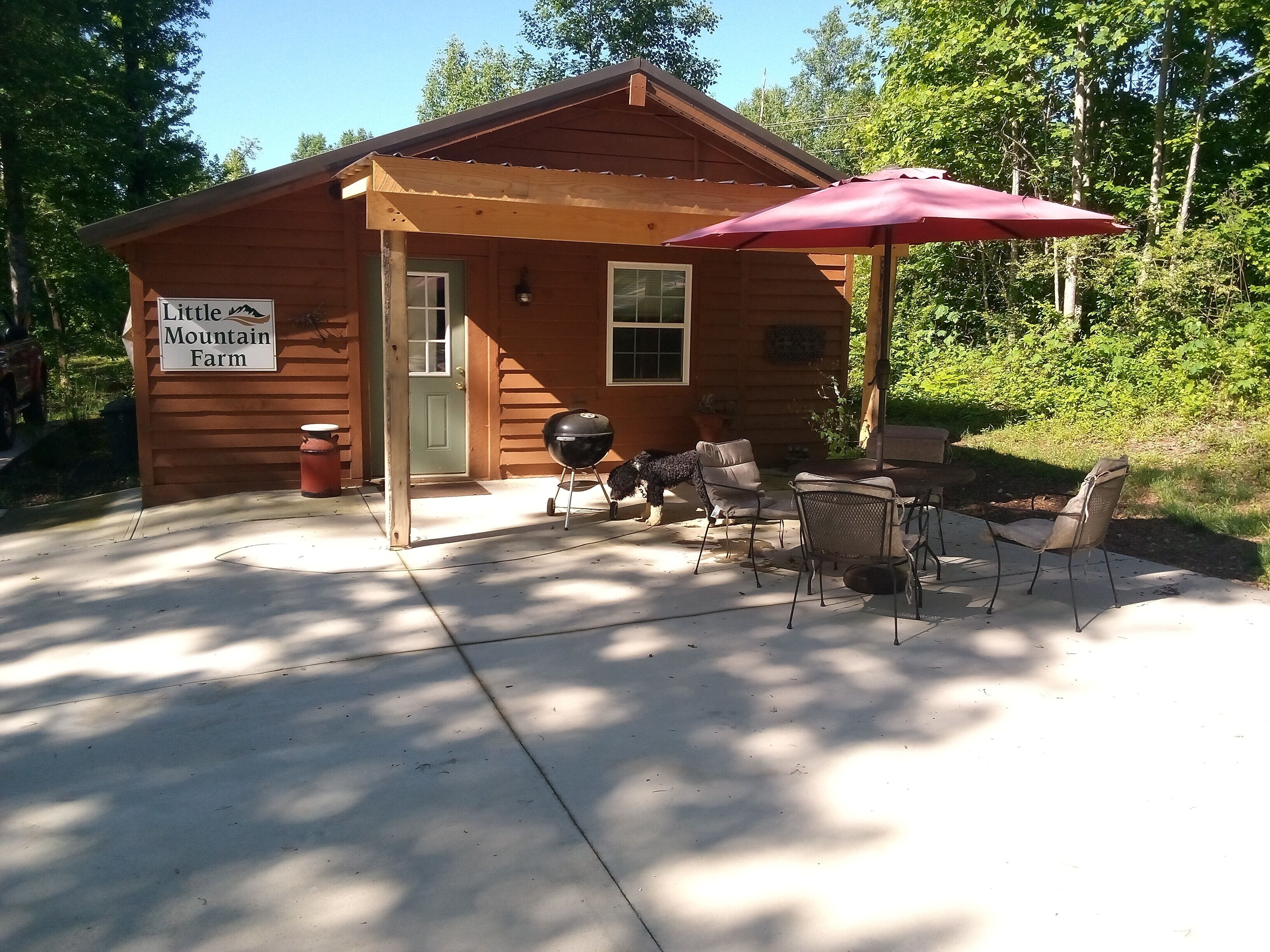 Creek side mtn cabin . Near hiking, waterfalls and lakes, golf. Pet friendly.